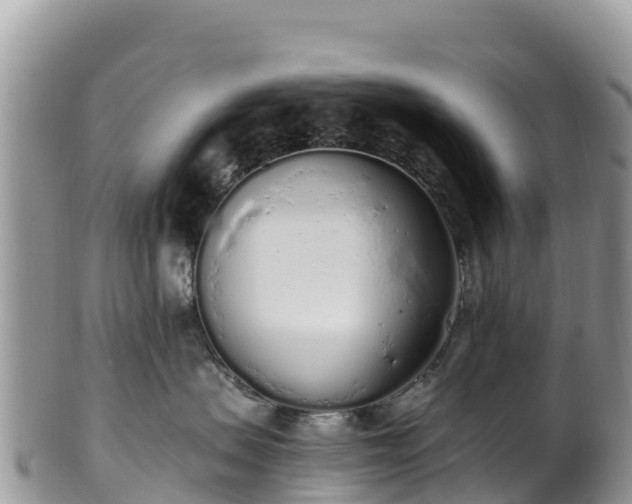 X0000102290479200808011517