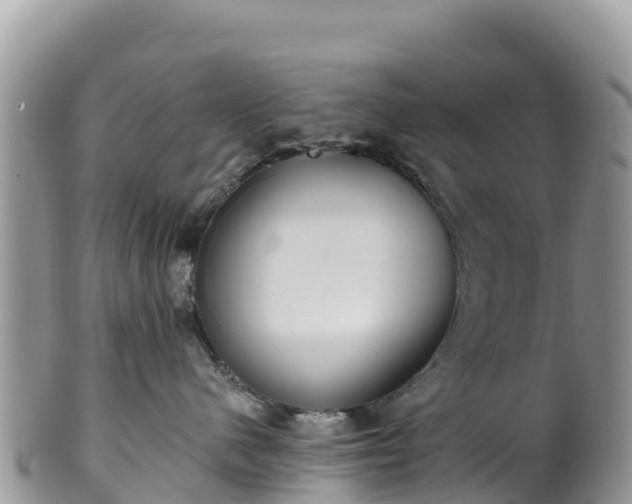 X0000102290480200808011517