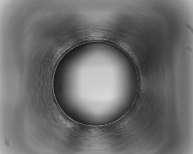 X0000102290481200808011516