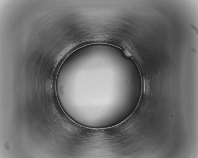 X0000102290483200808011516