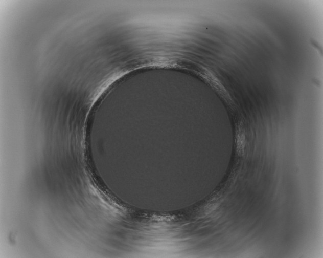 X0000102290484200808011516