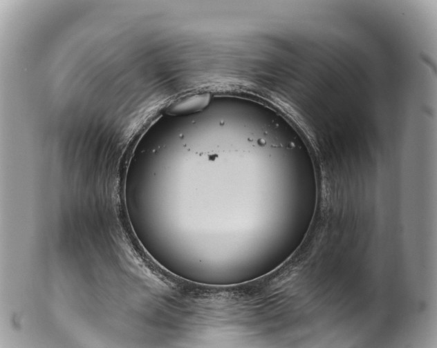 X0000102290485200808011516