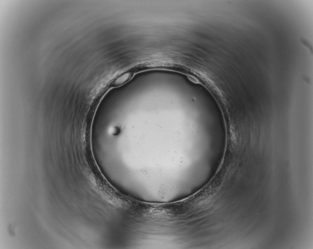 X0000102290487200808011516