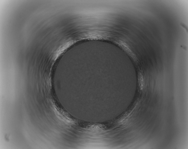 X0000102290488200808011516