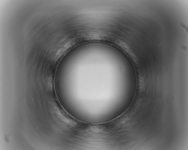 X0000102290489200808011516