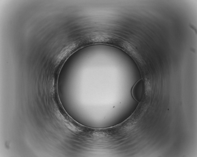 X0000102290490200808011516