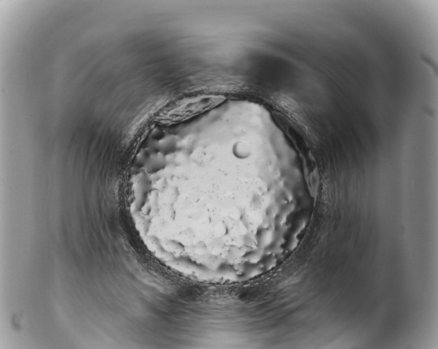 X0000102290491200808011516