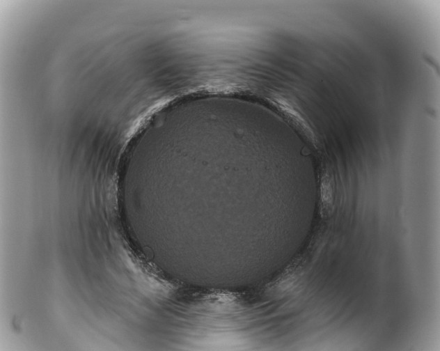 X0000102290492200808011516