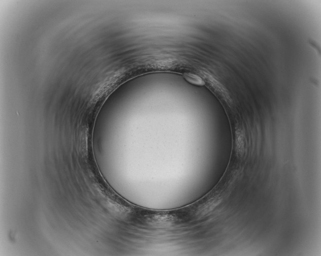 X0000102290493200808011516