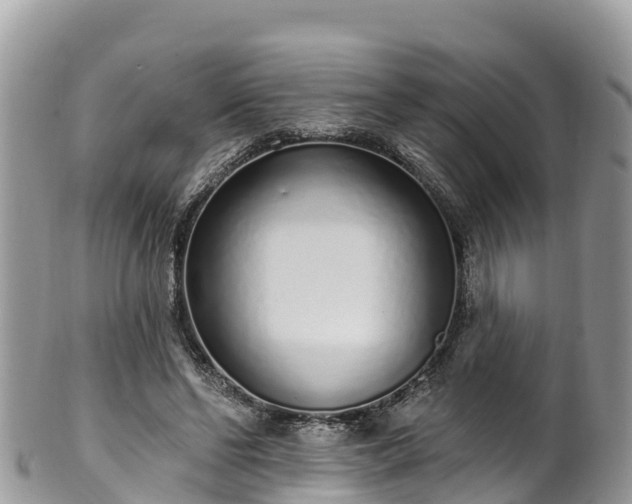 X0000102290494200808011516