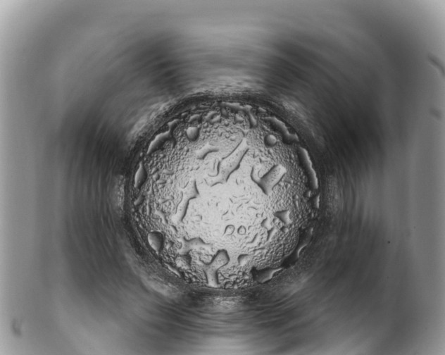 X0000102290495200808011516