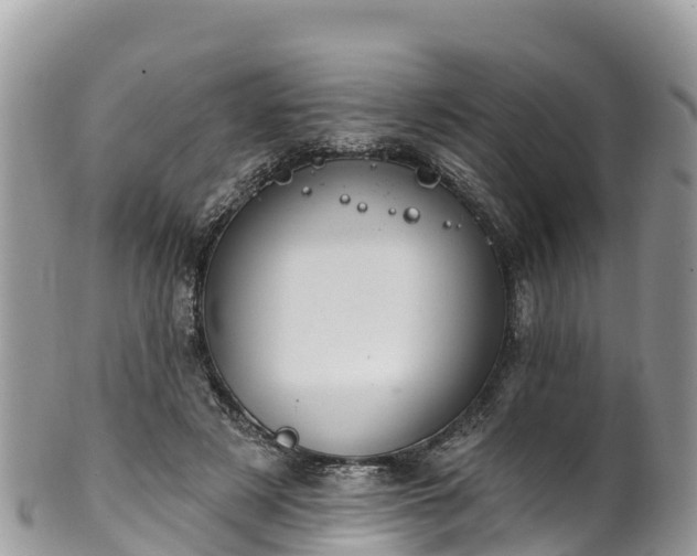 X0000102290497200808011516