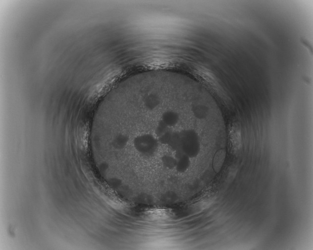 X0000102290499200808011516