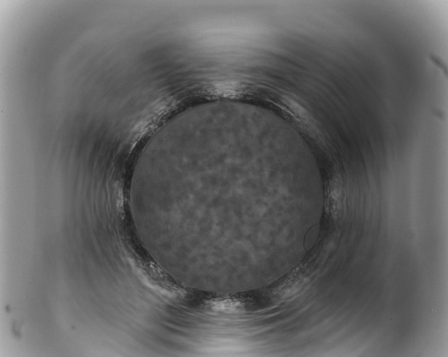 X0000102290500200808011516