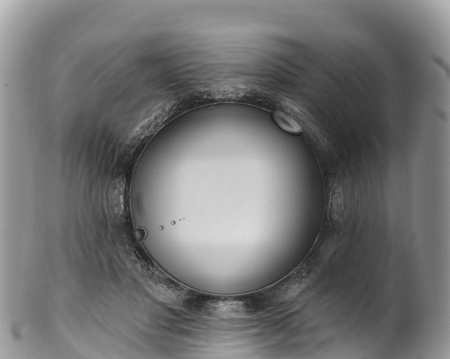 X0000102290501200808011516