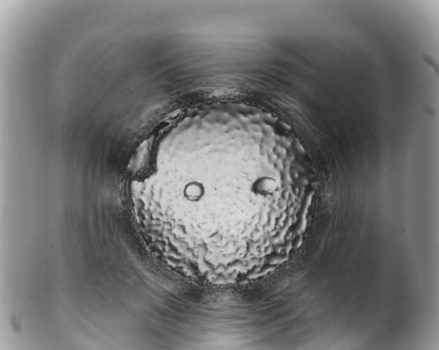 X0000102290503200808011516