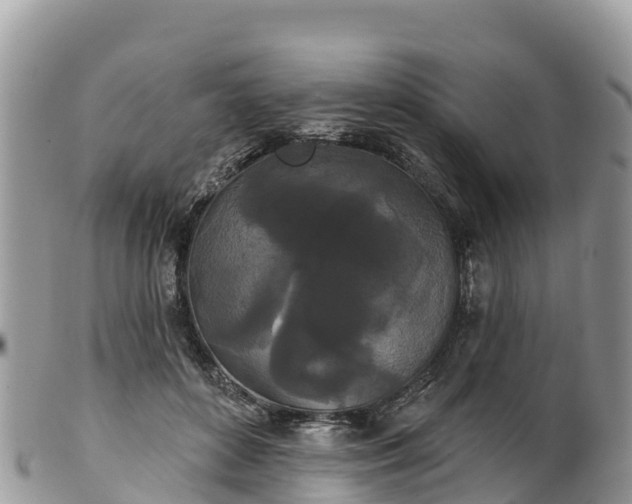 X0000102290504200808011516