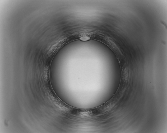 X0000102290505200808011516