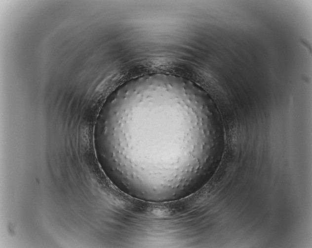 X0000102290506200808011516