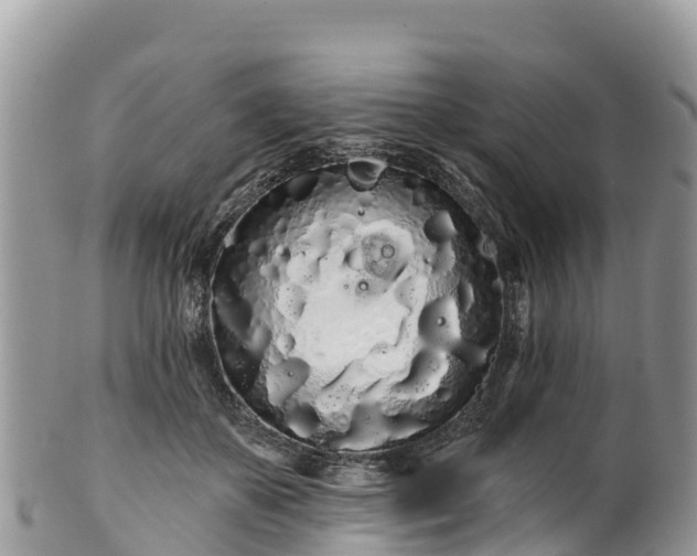 X0000102290507200808011516