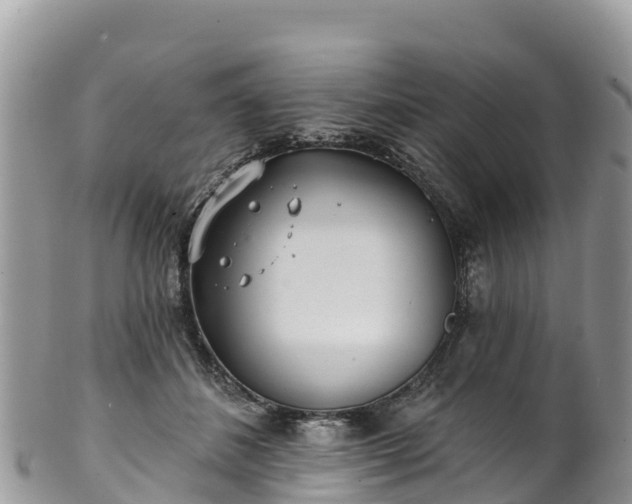 X0000102290508200808011516