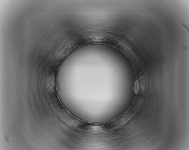 X0000102290509200808011516