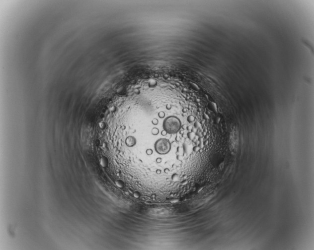 X0000102290511200808011516