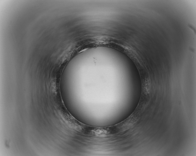 X0000102290512200808011516