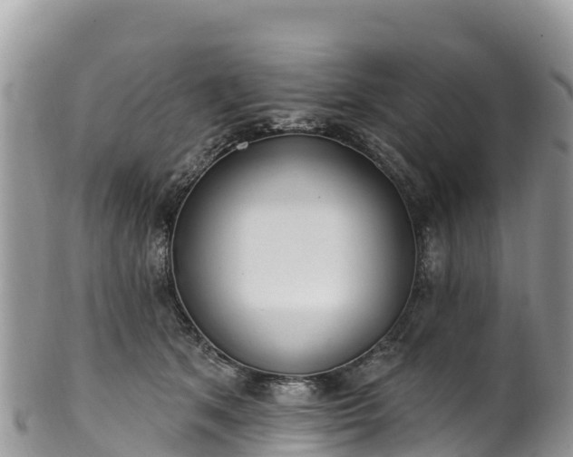 X0000102290513200808011516