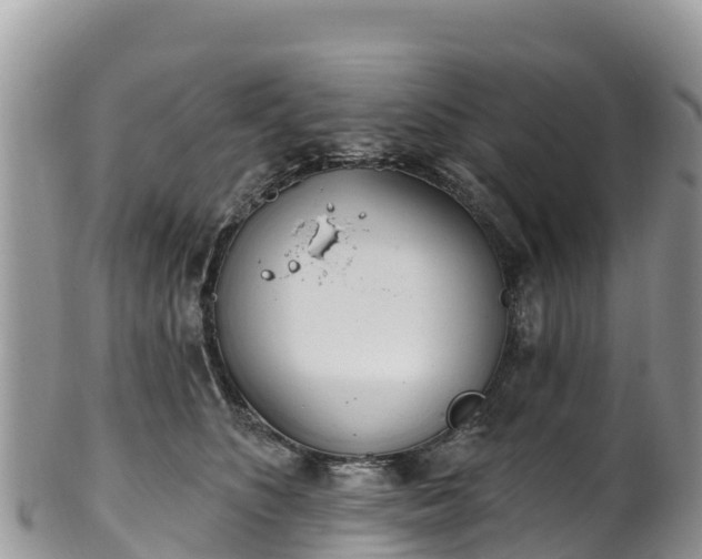 X0000102290516200808011516