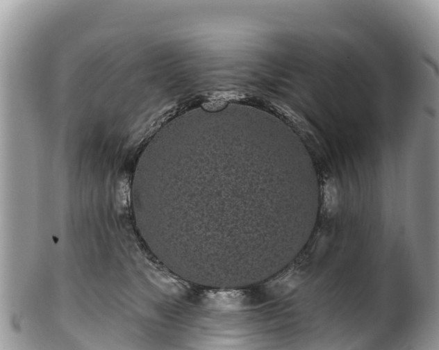 X0000102290517200808011516