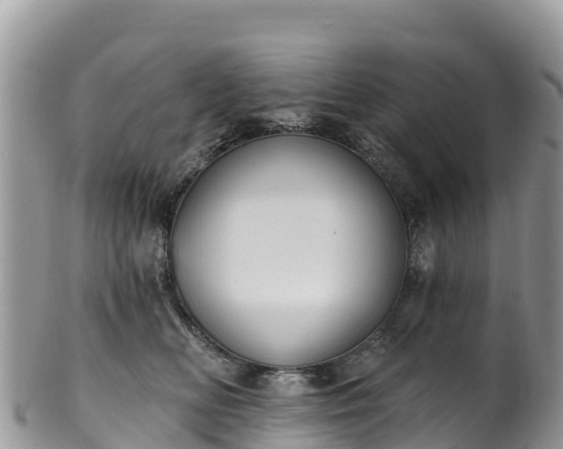 X0000102290518200808011516