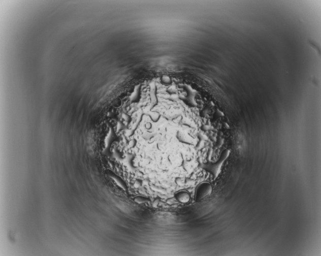 X0000102290519200808011516