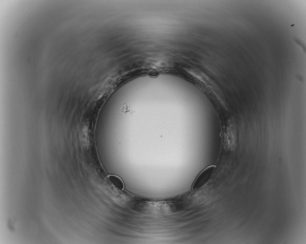 X0000102290520200808011516