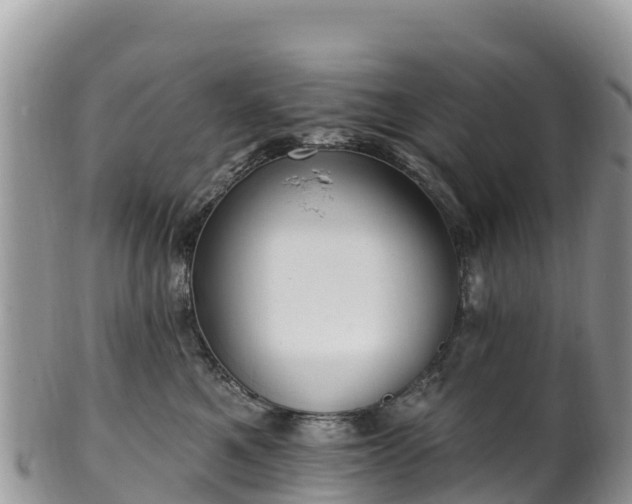 X0000102290521200808011516