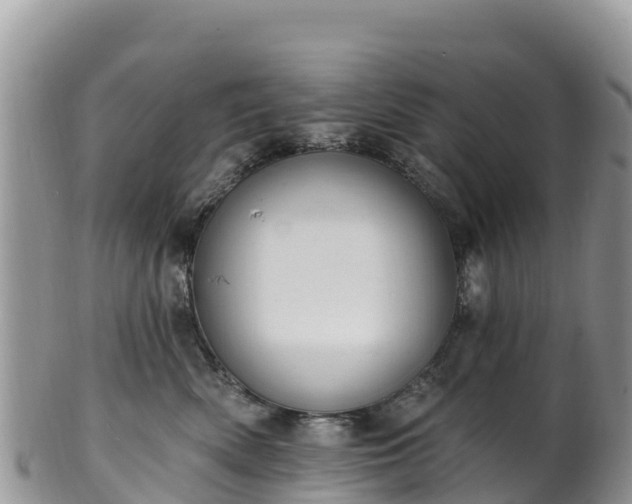 X0000102290522200808011516