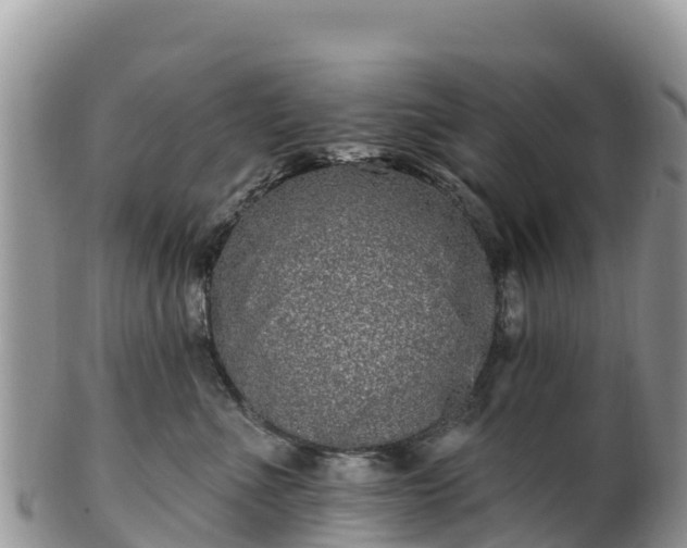 X0000102290523200808011516