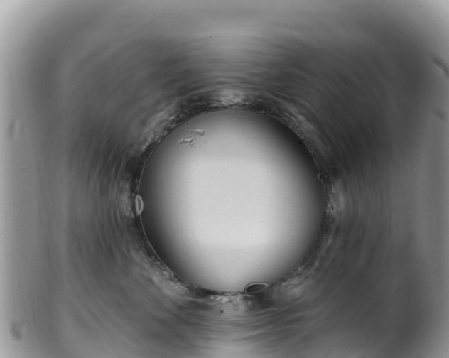 X0000102290524200808011516