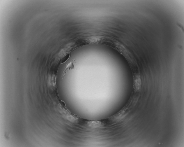 X0000102290525200808011516