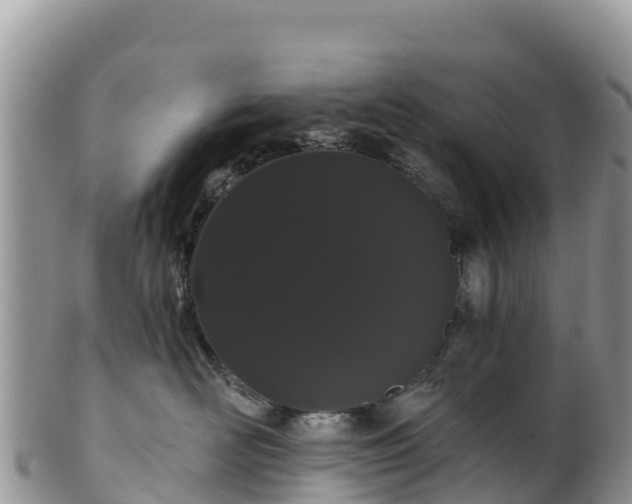 X0000102290526200808011516