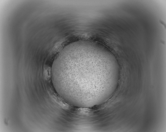 X0000102290528200808011516