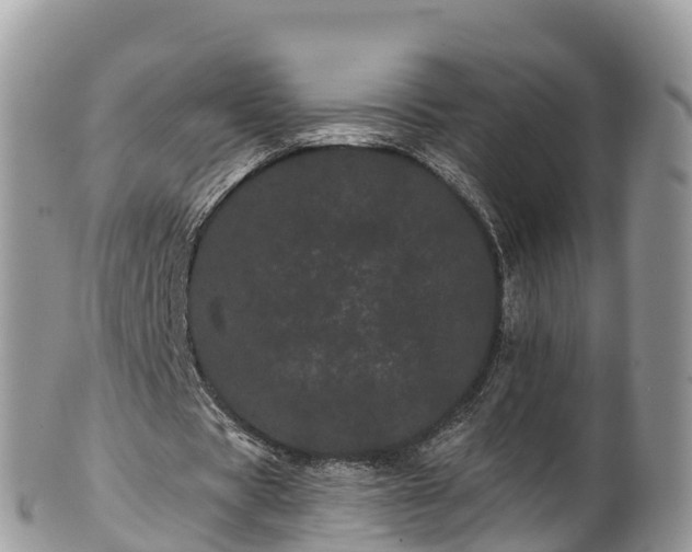 X0000102290529200808011515