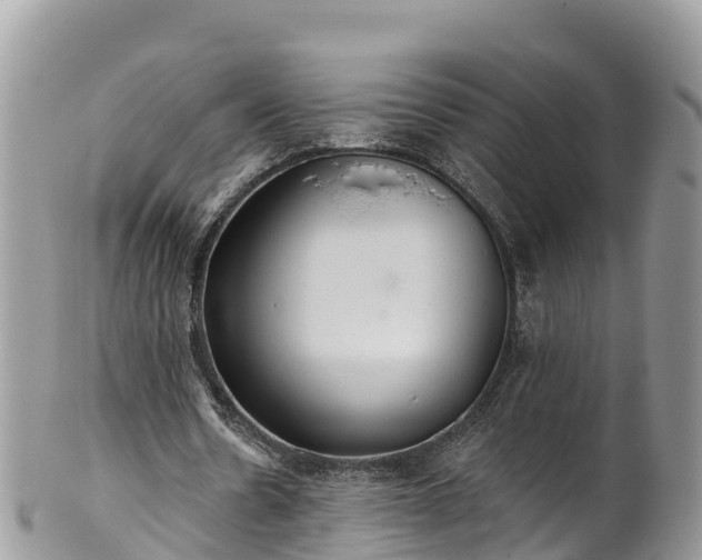 X0000102290530200808011515