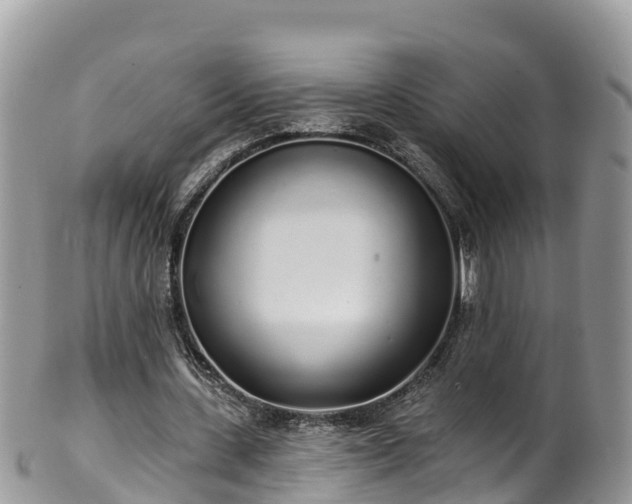 X0000102290531200808011515