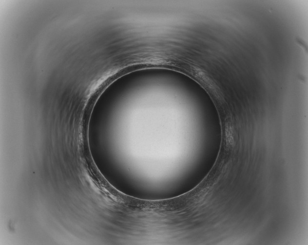 X0000102290532200808011515