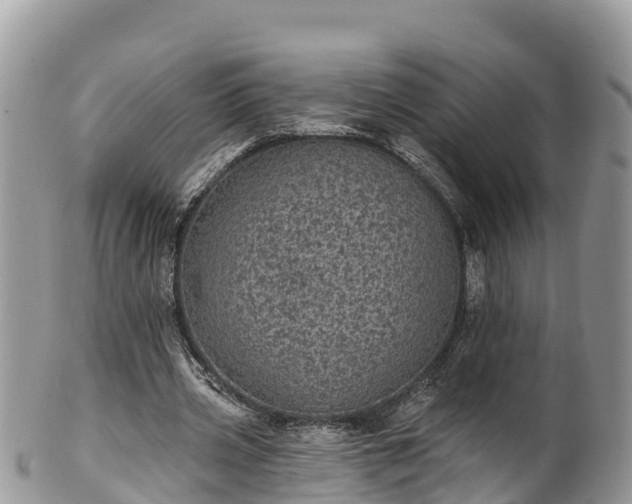 X0000102290533200808011515