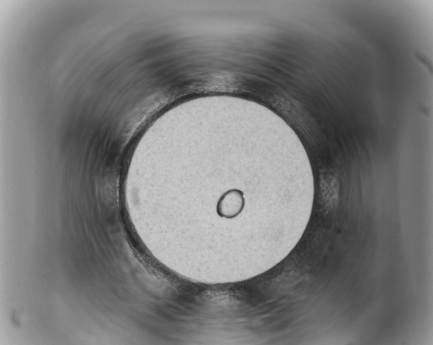 X0000102290534200808011515