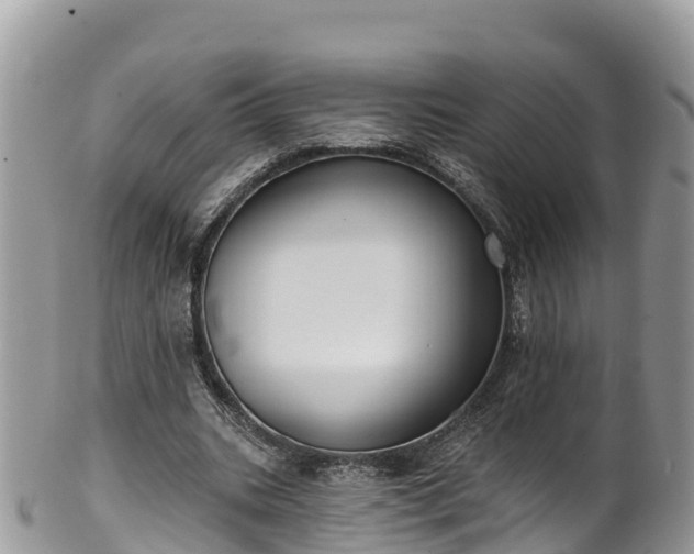 X0000102290535200808011515