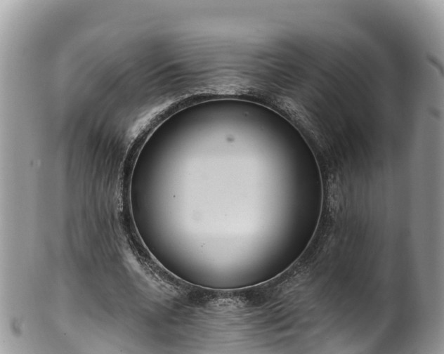 X0000102290536200808011515