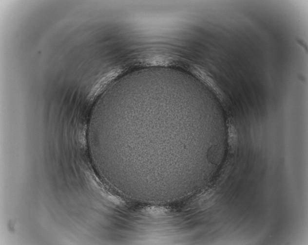 X0000102290537200808011515